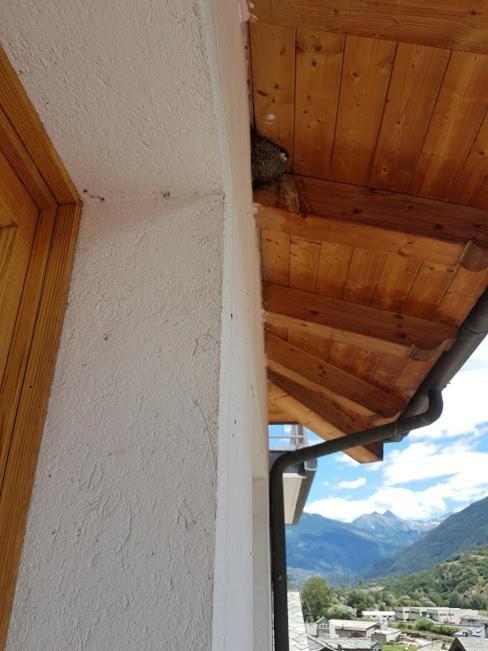 Casa Chanoux Chambave Exteriér fotografie
